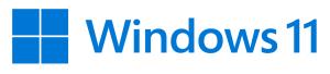 Windows 11 Pro 64bit - 1 Lic - Win - Dutch - USB Stick