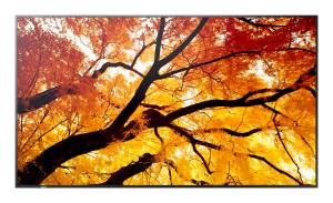 Large Format Display - Multisync M552 - 55in - 3840x2160 (uhd) - Black
