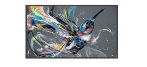Large Format Monitor - 50bdl3510q - 50in - Q-line-display