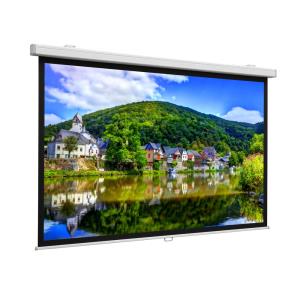 Projection Screen Proscreen 139x240 Cm.matte White S Widescreen Format 16:9