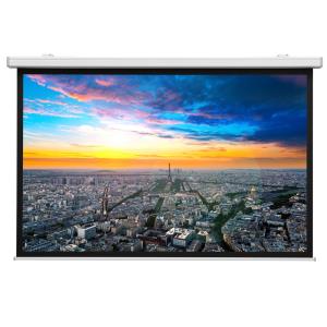 Projecta Compact Electrol Ws 156x250 Mat (10102008)
